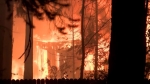 캘리포니아서 산불 3건 동시발화…9명 사망·15만 명 대피