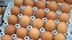 '항생제 달걀' 숨은 목록 찾기?…회수량도 파악 안 돼