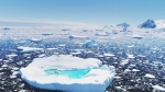 "2100년 해수면 최고 238㎝ 상승"…더 빨리 녹는 남극