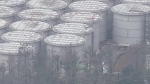도쿄전력 "후쿠시마 오염수, 3년 뒤 저장 한계" 첫 시인