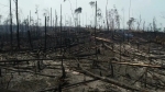 아마존 산불 '불구경' 하더니…브라질, 뒤늦게 군 투입