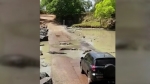 [해외 이모저모] 악어가 한가운데에…호주서 가장 위험한 도로