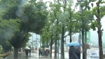 [날씨] 29일 전국 차차 흐려지다 비…낮 최고 30도