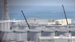 그린피스 전문가 "후쿠시마와 월성 비교는 나쁜 과학"