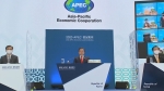 APEC 정상회의 "코로나 백신, 공평한 접근 노력"