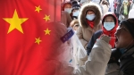 결과 나오기 전 "31만 명 전원 음성"…중국 허위보고