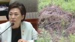 [단독] 김현미 '연천 땅'엔 죽은 어린나무·잡초 무성…농지법 위반 의혹