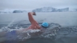 북극 빙하 사이로 7.8㎞ 극한 수영…'이유 있는' 도전