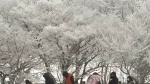 [날씨] 아침 최저기온 영하 18도…제주·호남 눈 소식