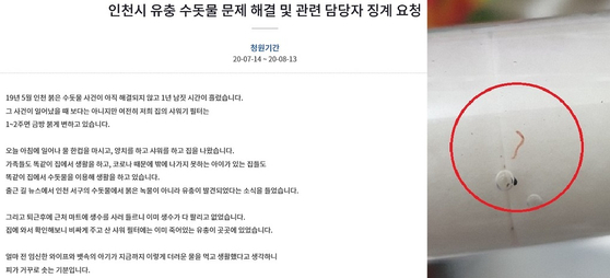 청와대 국민청원 게시판에 올라온 '인천 수돗물 유충' 청원글(왼쪽)과  인천 서구 주민이 인터넷 카페에 올린 '수돗물 유충' 사진.