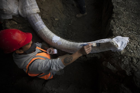 멕시코서 수백 마리 매머드 뼈 발견…세계서 가장 큰 규모