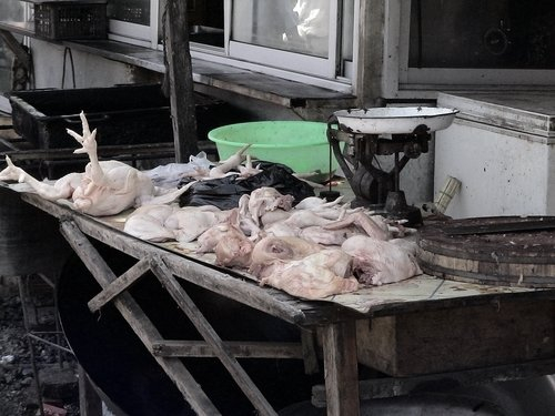 중국 가축 시장에서 판매대에 고기가 진열되어 있다