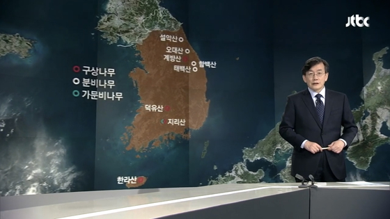 2019년 4월 4일 JTBC 뉴스룸. 당시 취재진은 녹색연합과 함께 발왕산 정상을 찾았습니다.