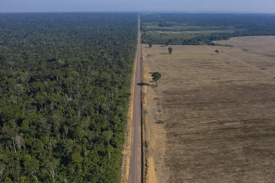 불법 벌채 등으로 파괴가 진행되고 있는 브라질 아마존의 열대 우림의 모습.