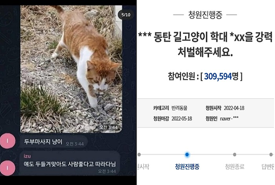 〈사진-전국길고양이보호단체연합 페이스북·청와대 국민청원〉 