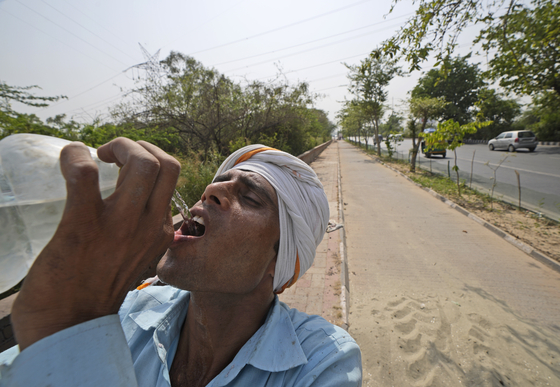 현지시간 2일 인도 수도 뉴델리에서 한 노동자가 갈증을 해소하기 위해 물을 마시고 있다. 뉴델리는 다른 지역들과 마찬가지로 기록적인 폭염 속에 시달리고 있다. 〈사진=AP 연합뉴스〉