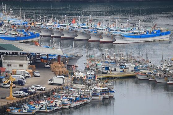 제4호 태풍 에어리(AERE)가 북상하는 가운데 어제(3일) 오전 서귀포항에 어선들이 정박해 있는 모습.〈사진-연합뉴스〉