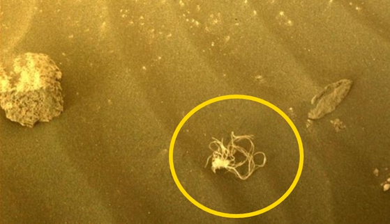 화성 표면에서 발견된 실뭉치 모양의 물체. 〈사진=NASA/JPL-Caltech 홈페이지〉 