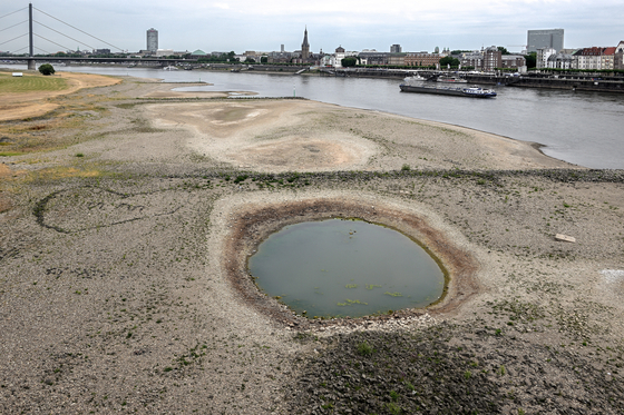 바닥을 드러내는 독일 라인강. 〈사진=EPA 연합뉴스〉